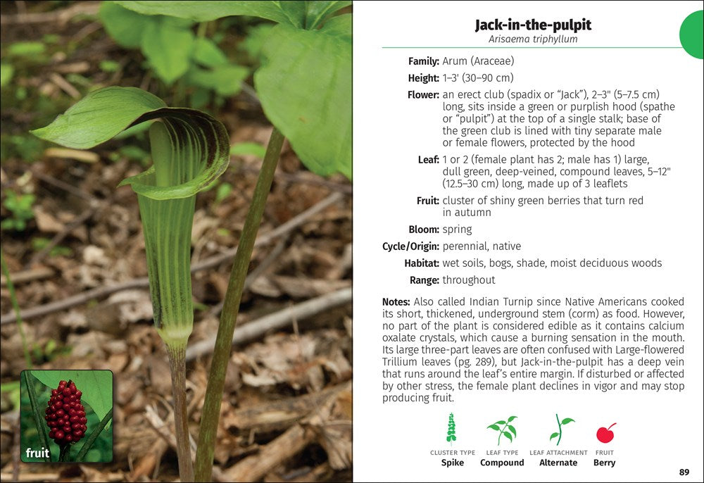 Wildflowers of the Carolinas Field Guide