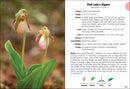 Wildflowers of the Carolinas Field Guide