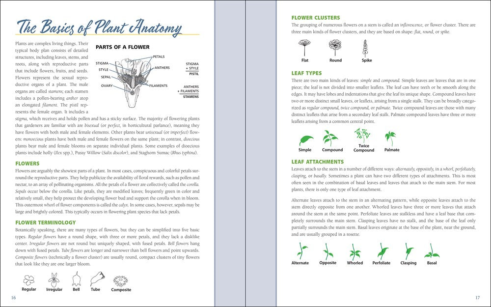 Native Plant Gardening for Birds, Bees & Butterflies: Northeast