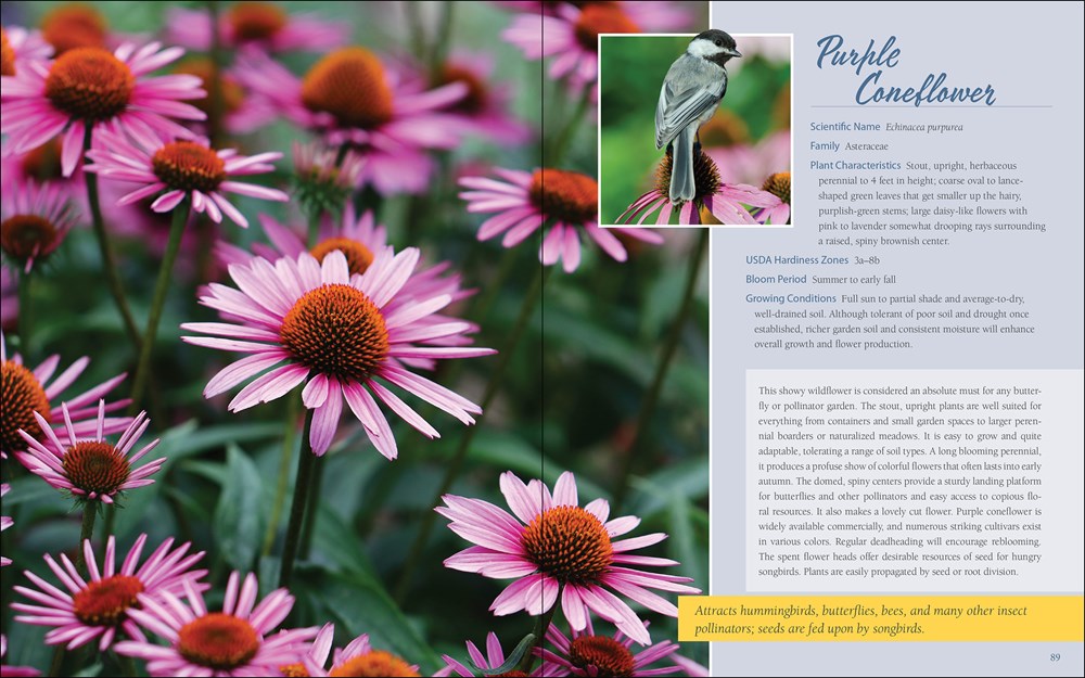 Native Plant Gardening for Birds, Bees & Butterflies: Northeast