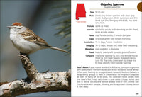 Birds of Alabama Field Guide