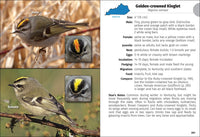 Birds of Kentucky Field Guide