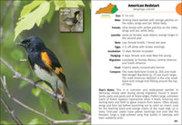 Birds of Kentucky Field Guide