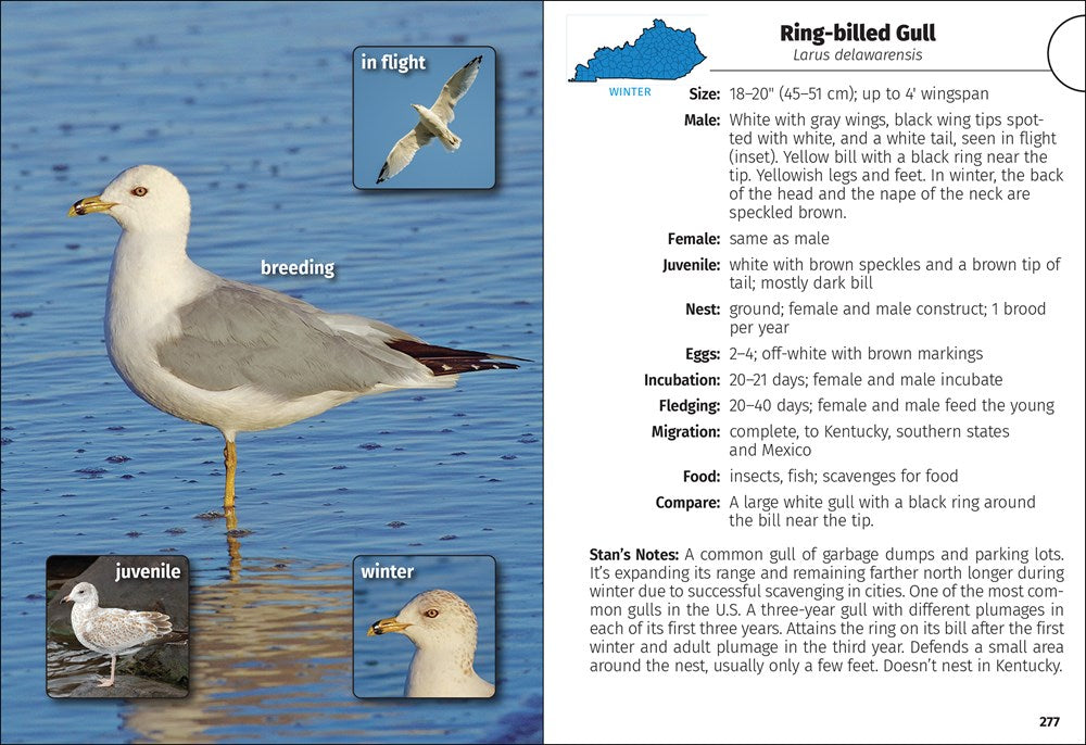 Birds of Kentucky Field Guide