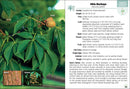 Trees of Indiana Field Guide