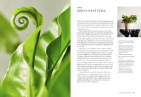 Terrain: The Houseplant Book