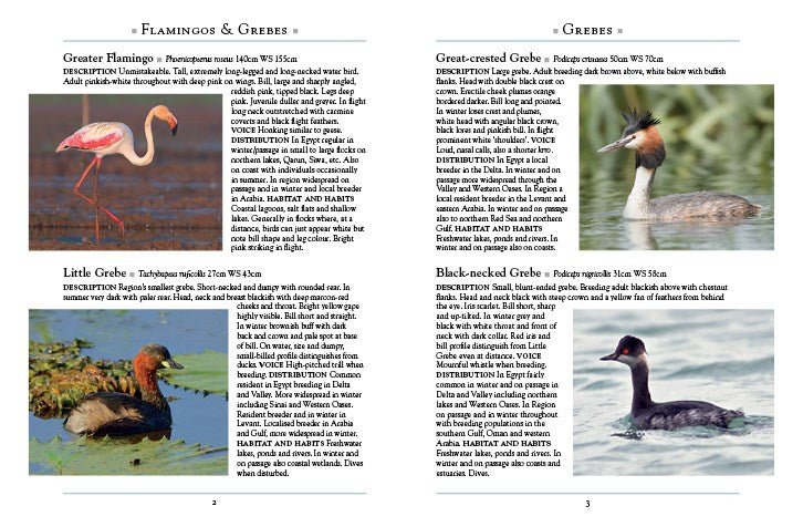 The Birds of Egypt and the Middle East