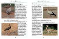 The Birds of Egypt and the Middle East