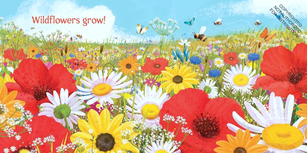 Wildflowers Grow