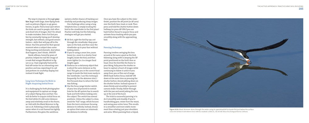 Mastering Bird Photography