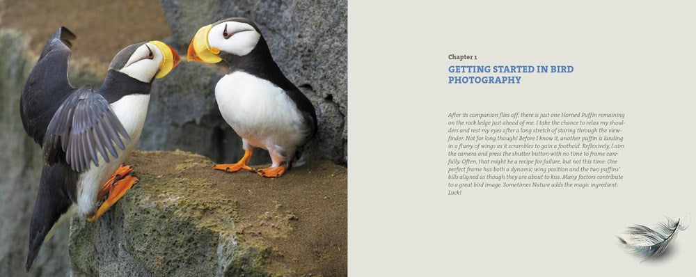 Mastering Bird Photography