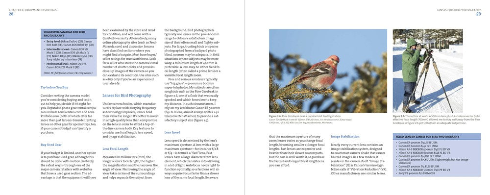 Mastering Bird Photography