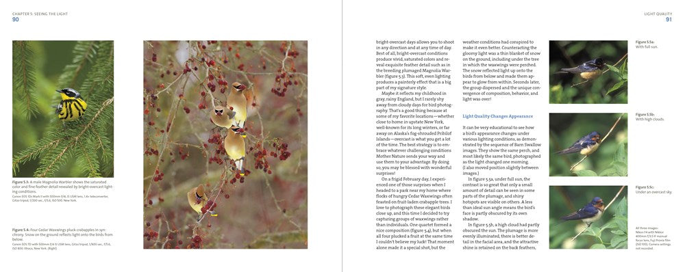 Mastering Bird Photography