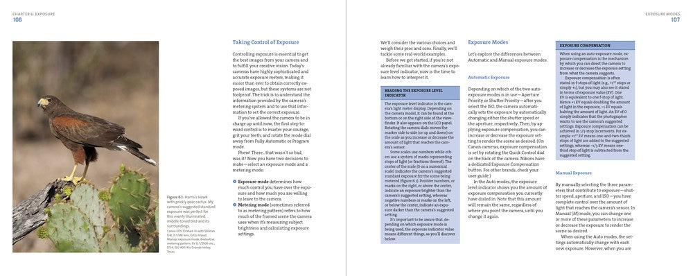 Mastering Bird Photography