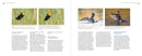 Mastering Bird Photography