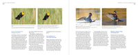 Mastering Bird Photography