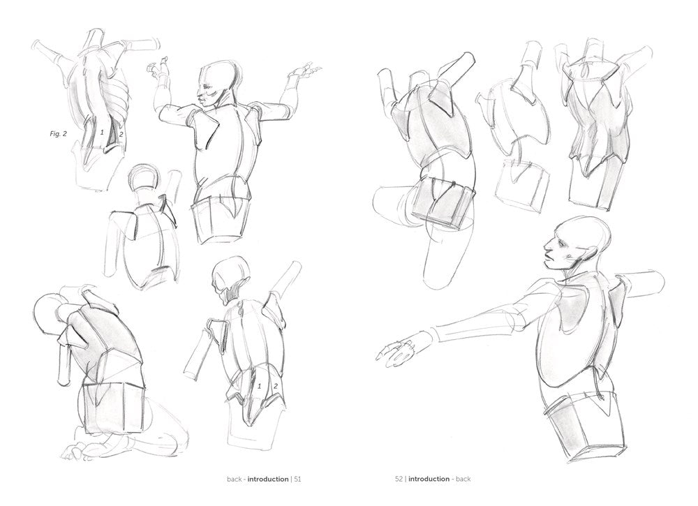 Morpho: Simplified Forms : Anatomy for Artists