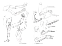 Morpho: Simplified Forms : Anatomy for Artists