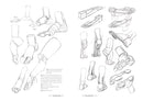 Morpho: Simplified Forms : Anatomy for Artists
