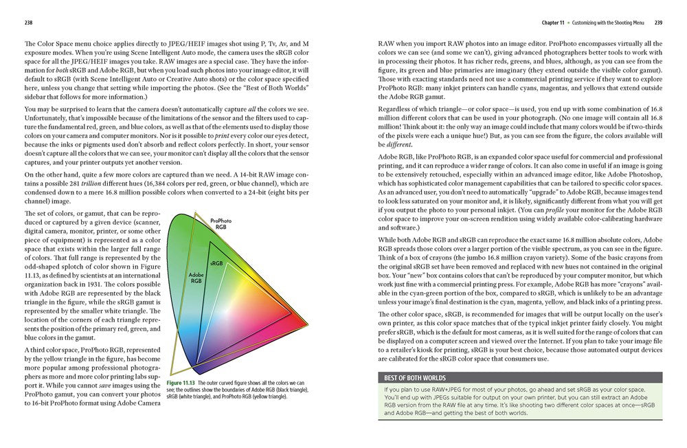 David Busch's Canon EOS R Guide to Digital Photography