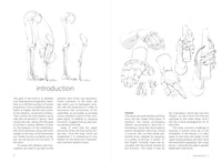 Morpho: Hands and Feet: Anatomy for Artists (Morpho: Anatomy for Artists, 5)
