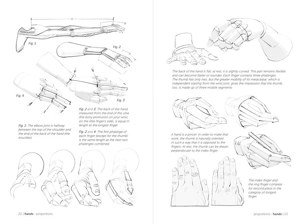 Morpho: Hands and Feet: Anatomy for Artists (Morpho: Anatomy for Artists, 5)