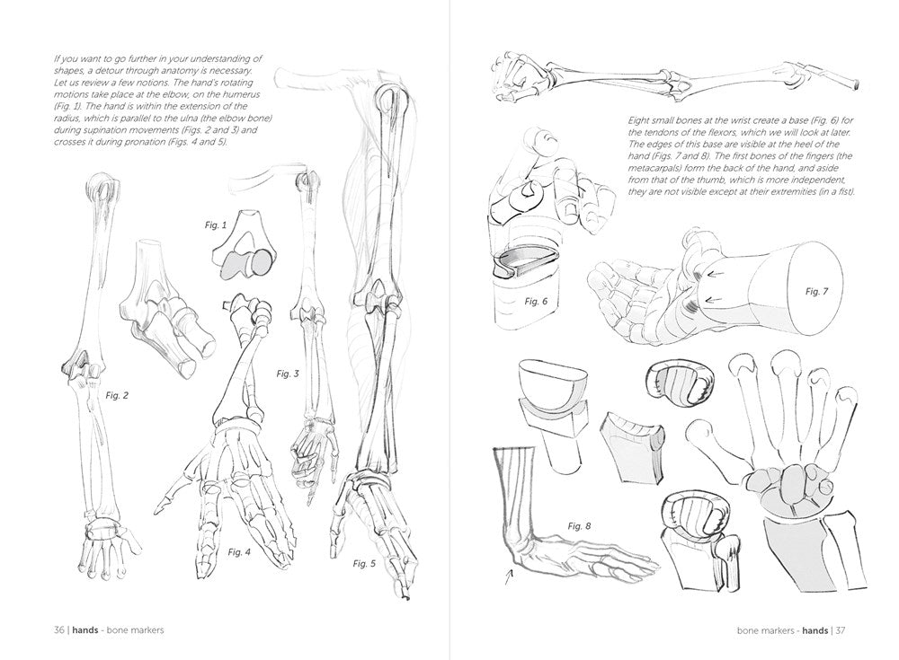 Morpho: Hands and Feet: Anatomy for Artists (Morpho: Anatomy for Artists, 5)