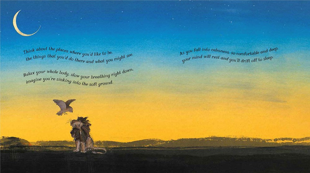 Arlo the Lion Who Couldn't Sleep