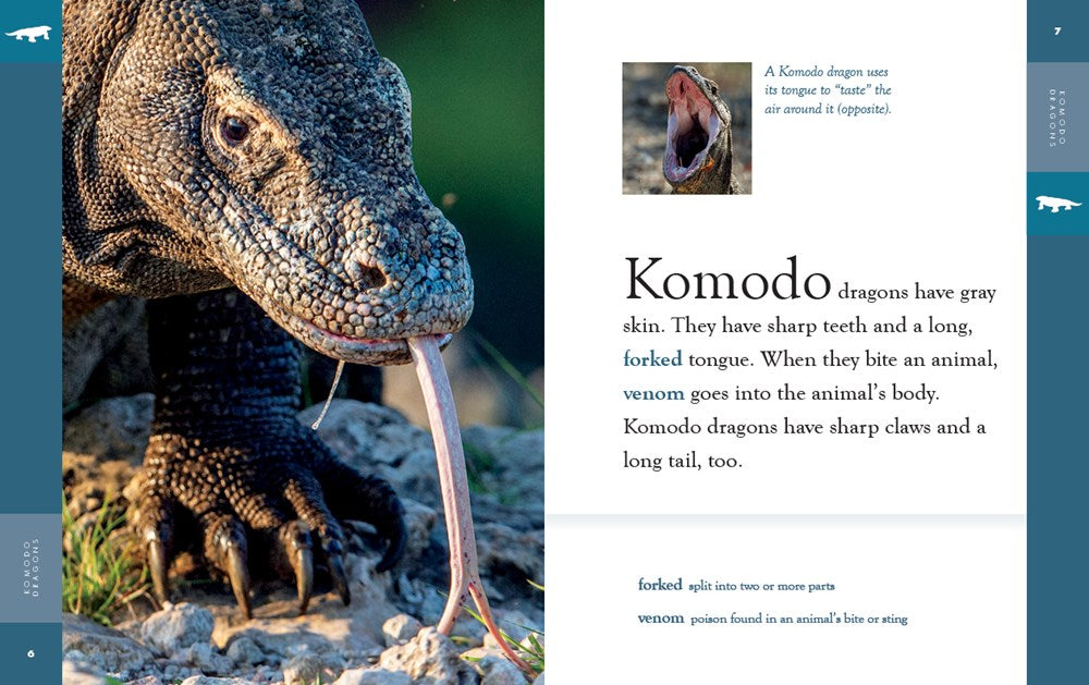 Komodo Dragons