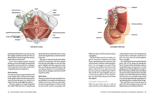 The Motherly Guide to Becoming Mama