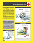 Strength Training Anatomy  (4th Edition)