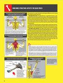 Strength Training Anatomy  (4th Edition)