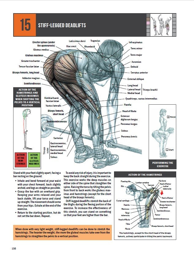 Strength Training Anatomy  (4th Edition)