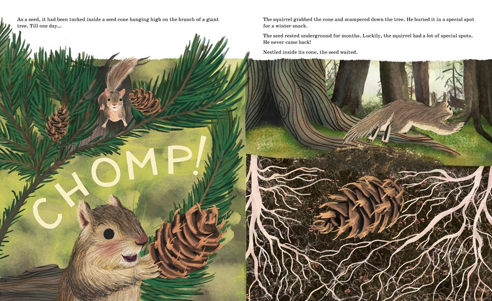 Listen to the Language of the Trees