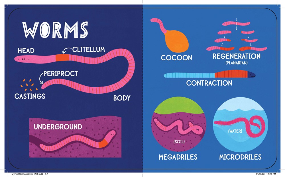 My First 100 Bug Words