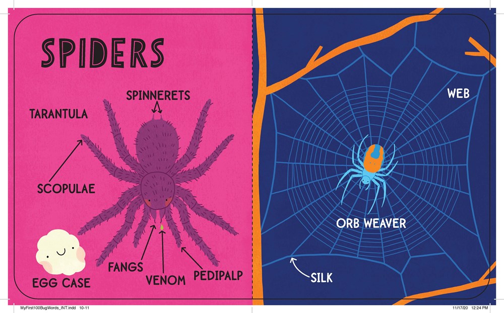 My First 100 Bug Words