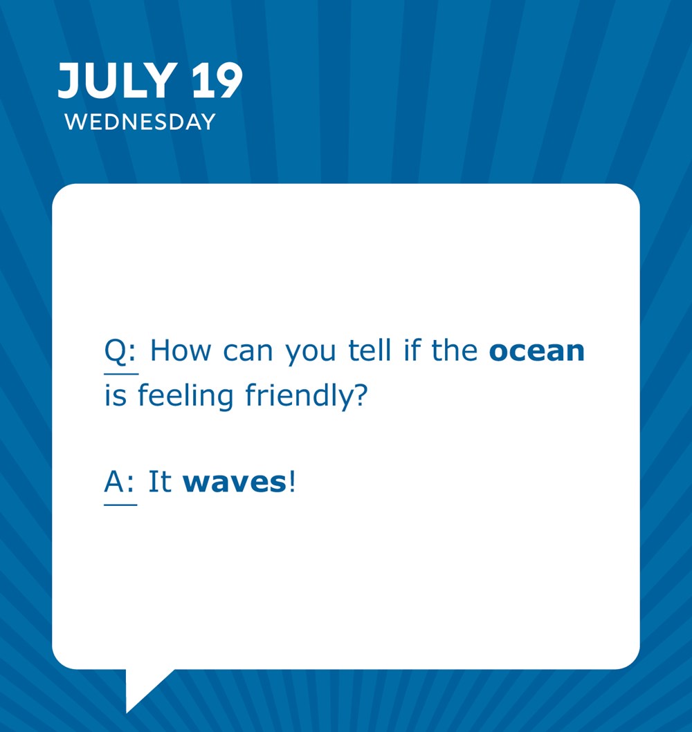 2023 Dad Jokes Boxed Calendar: 365 Days of Punbelievable Jokes