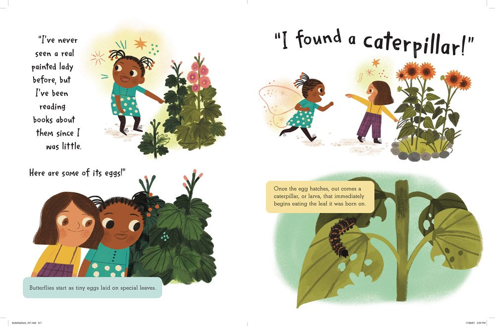 The Story of a Butterfly