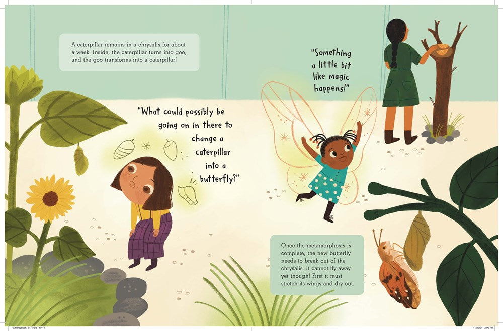 The Story of a Butterfly