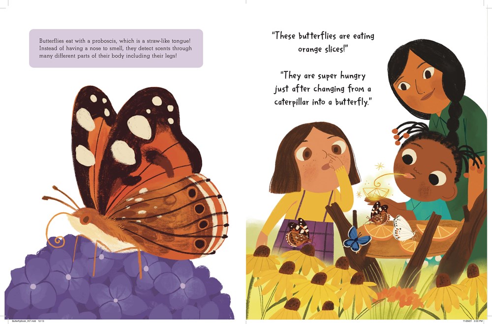 The Story of a Butterfly