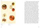 An Illustrated Catalog of American Fruits & Nuts