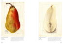 An Illustrated Catalog of American Fruits & Nuts