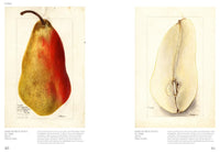 An Illustrated Catalog of American Fruits & Nuts