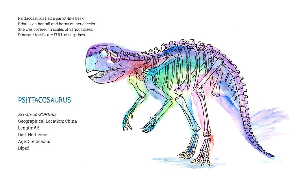 X-Ray Dinosaurs And Other Prehistoric Creatures