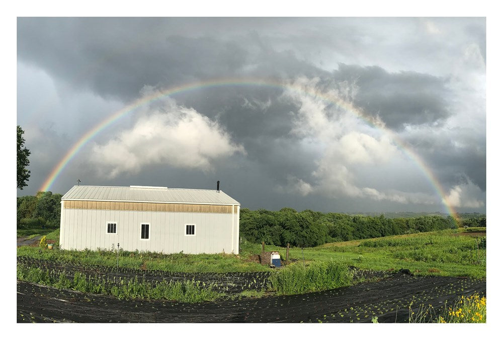 Small Farm, Big Dreams