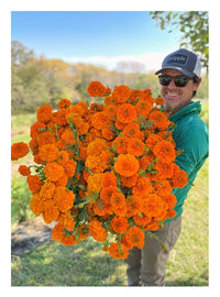 Small Farm, Big Dreams