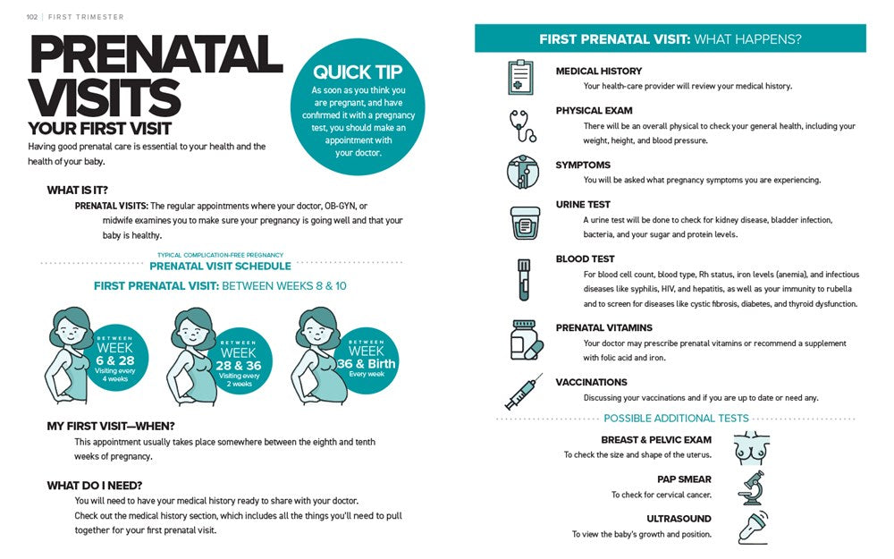 The Simplest Pregnancy Book in the World