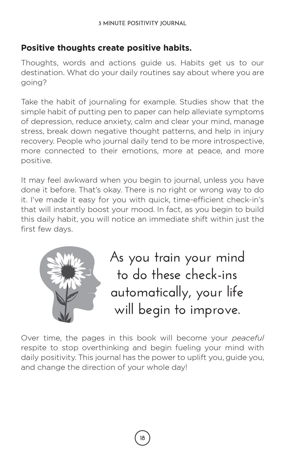 3 Minute Positivity Journal: Boost Your Mood. Train Your Mind. Change Your Life.