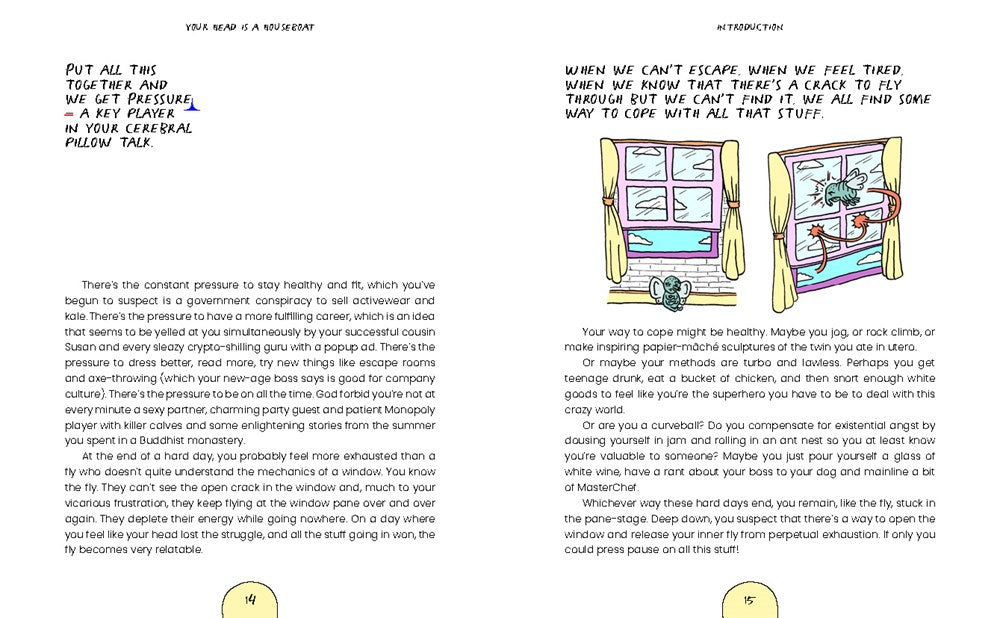 Your Head is a Houseboat: A Chaotic Guide to Mental Clarity