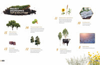 2040: A Handbook for the Regeneration